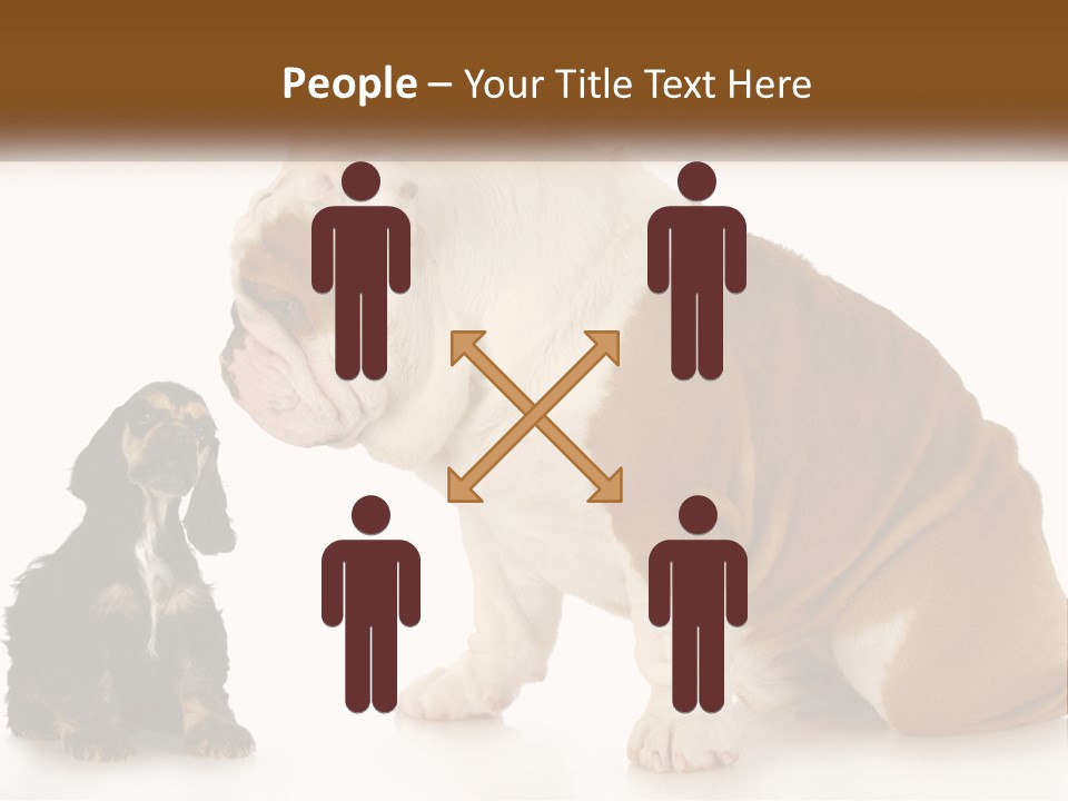 Face English Puppy PowerPoint Template
