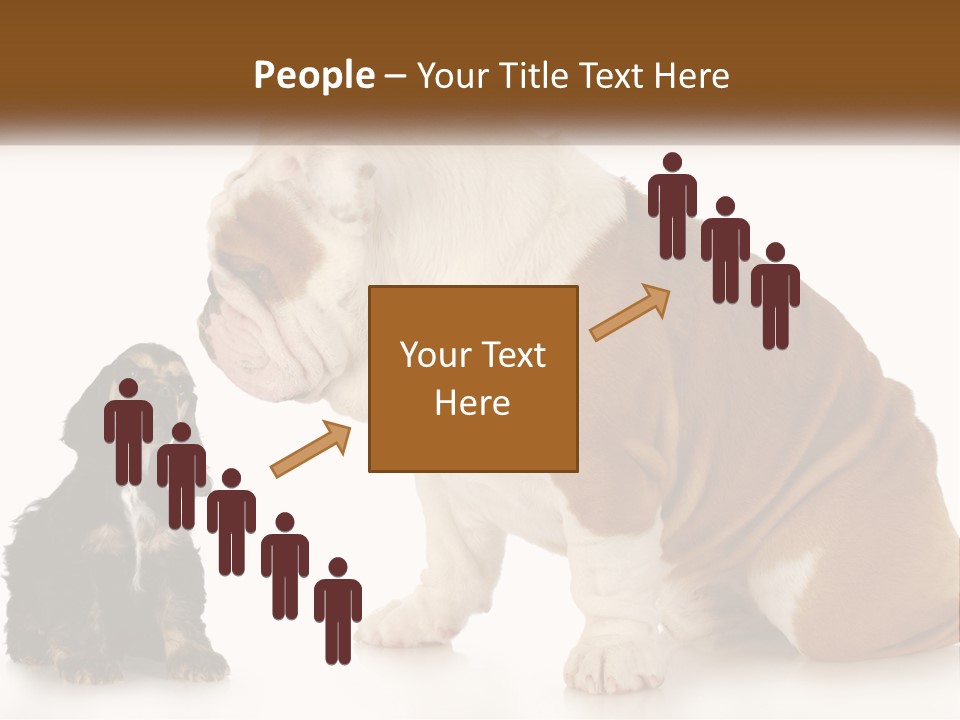 Face English Puppy PowerPoint Template