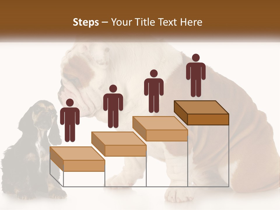 Face English Puppy PowerPoint Template