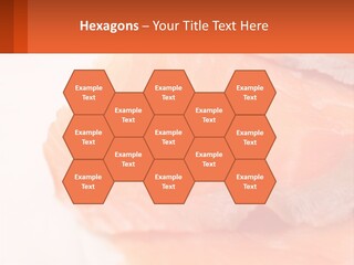 Pink Fresh Omega PowerPoint Template