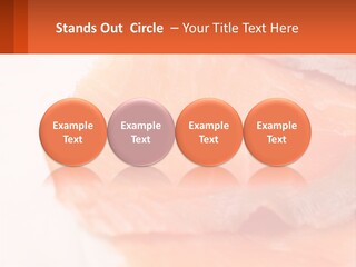 Pink Fresh Omega PowerPoint Template