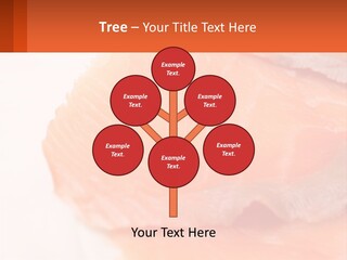 Pink Fresh Omega PowerPoint Template