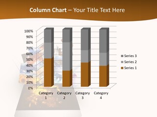 Images Concept Touch PowerPoint Template