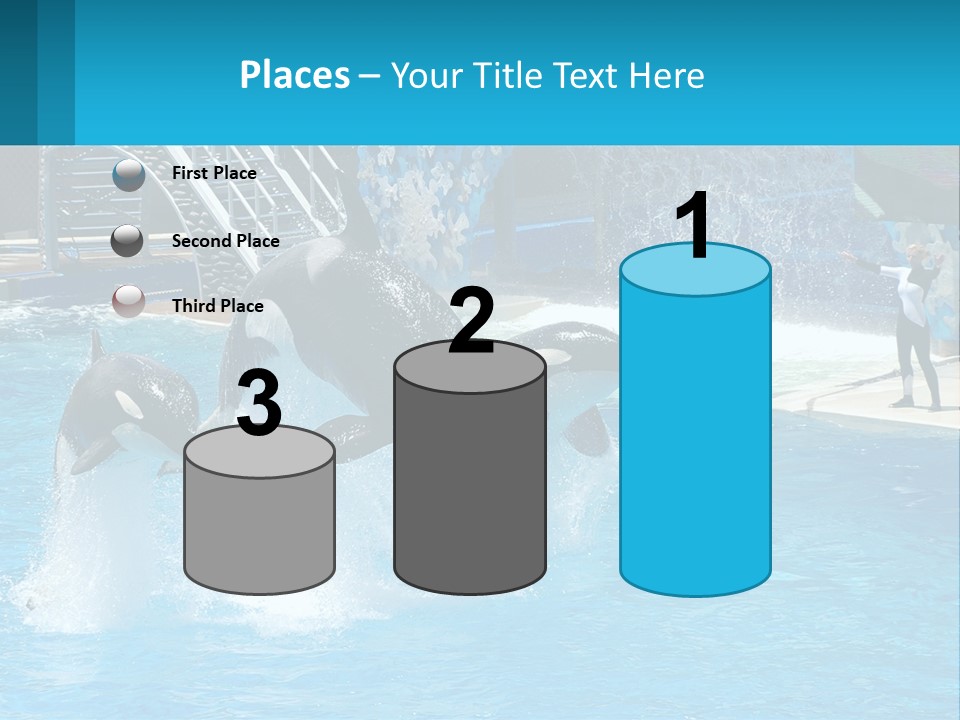 Orca Dolphin Animal PowerPoint Template