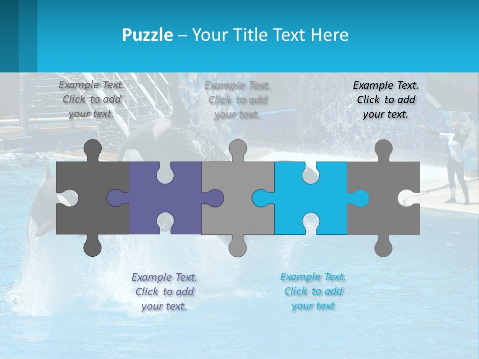 Orca Dolphin Animal PowerPoint Template