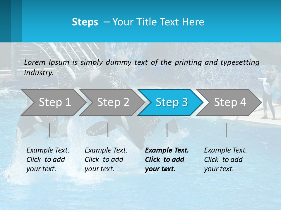 Orca Dolphin Animal PowerPoint Template