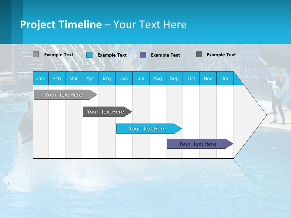 Orca Dolphin Animal PowerPoint Template