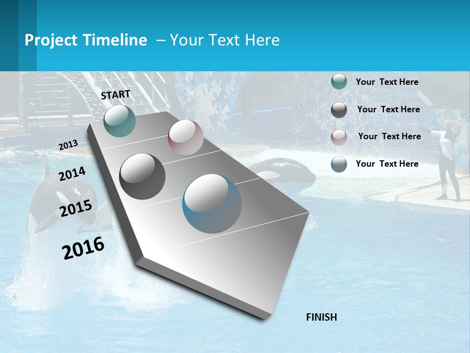Orca Dolphin Animal PowerPoint Template