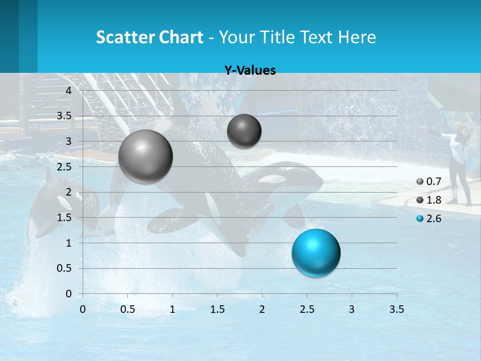 Orca Dolphin Animal PowerPoint Template