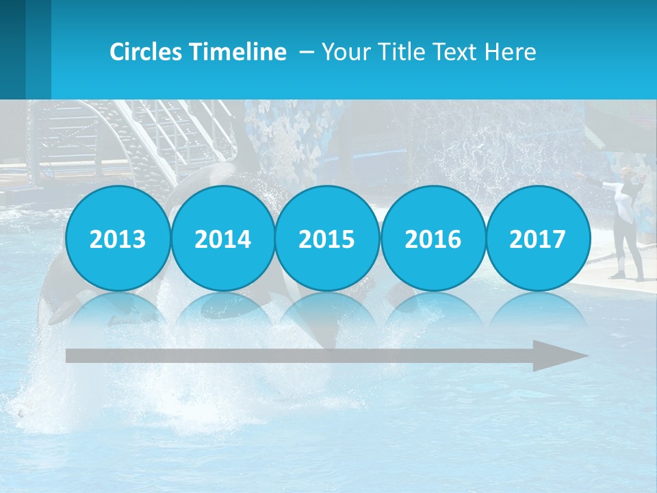 Orca Dolphin Animal PowerPoint Template