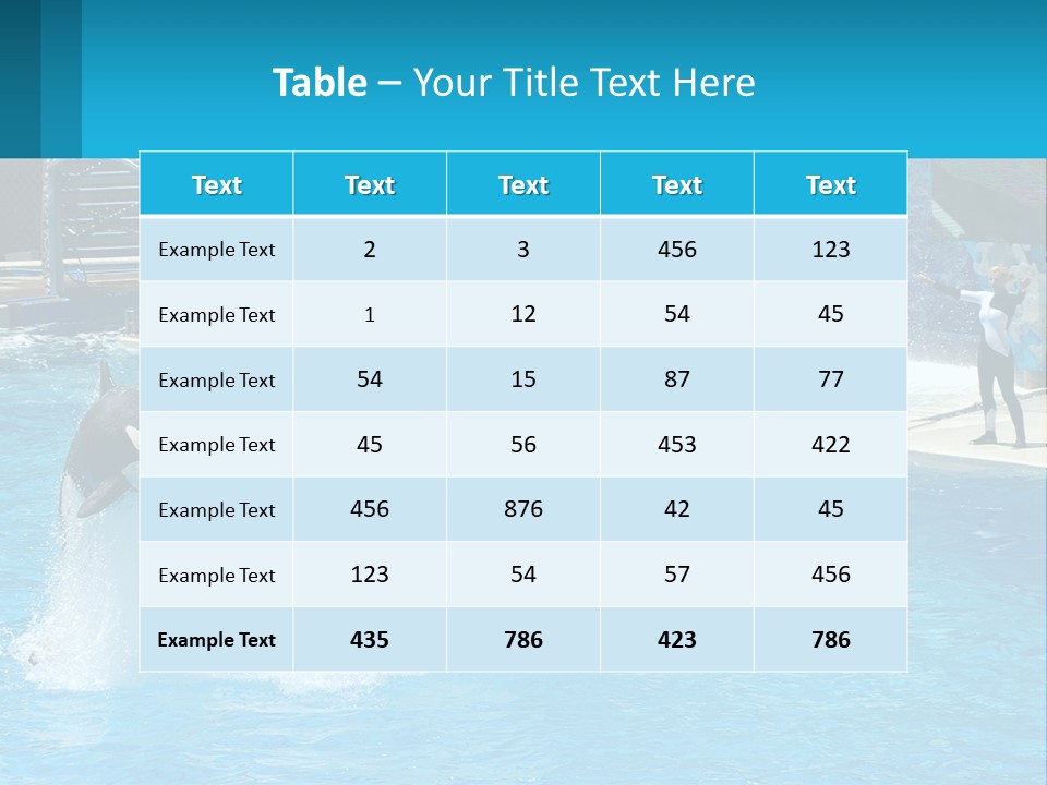 Orca Dolphin Animal PowerPoint Template