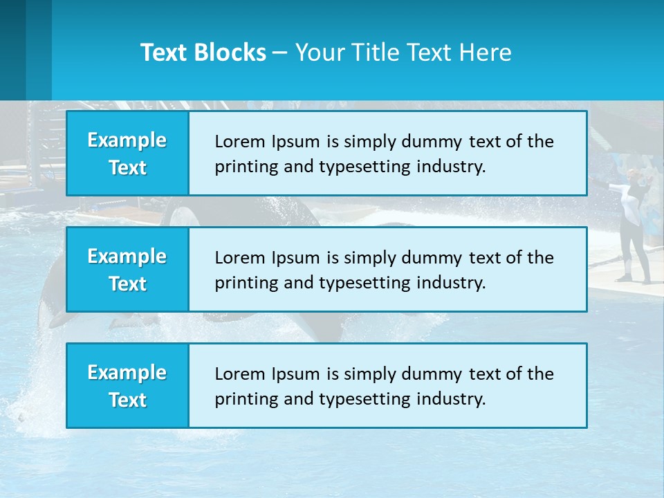 Orca Dolphin Animal PowerPoint Template