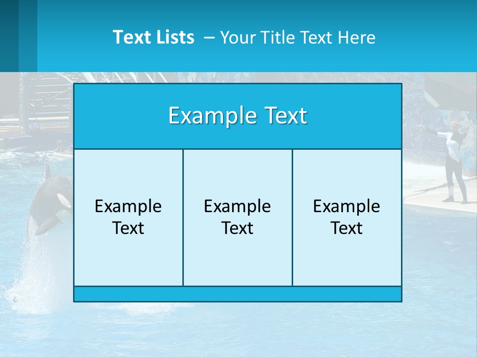 Orca Dolphin Animal PowerPoint Template