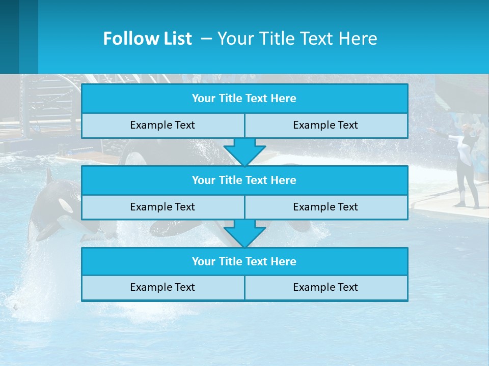 Orca Dolphin Animal PowerPoint Template
