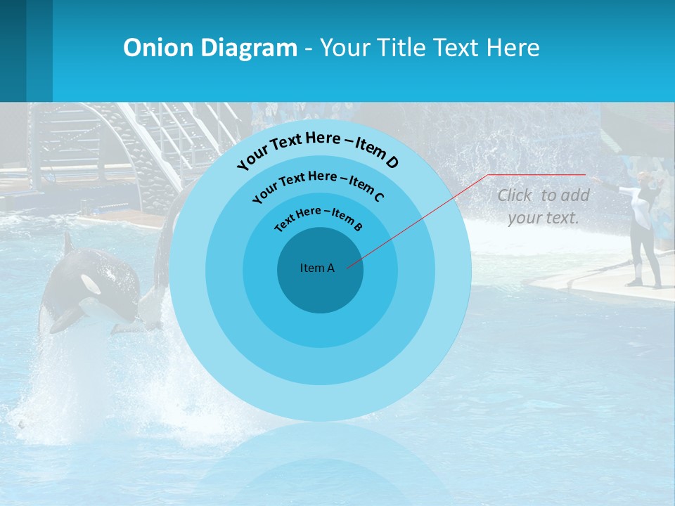 Orca Dolphin Animal PowerPoint Template