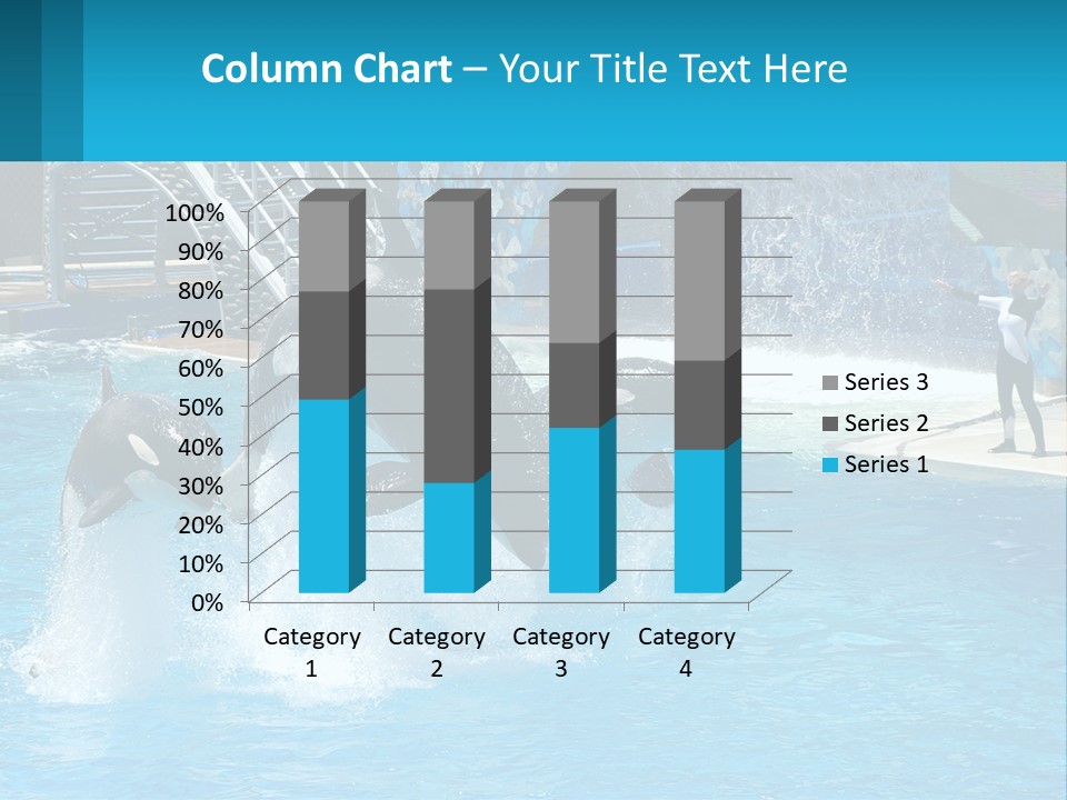 Orca Dolphin Animal PowerPoint Template