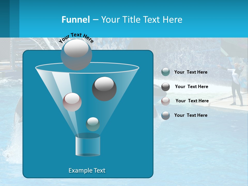 Orca Dolphin Animal PowerPoint Template