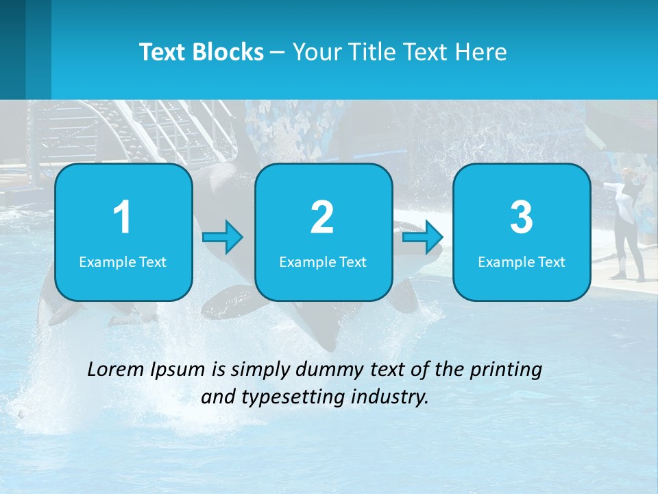 Orca Dolphin Animal PowerPoint Template