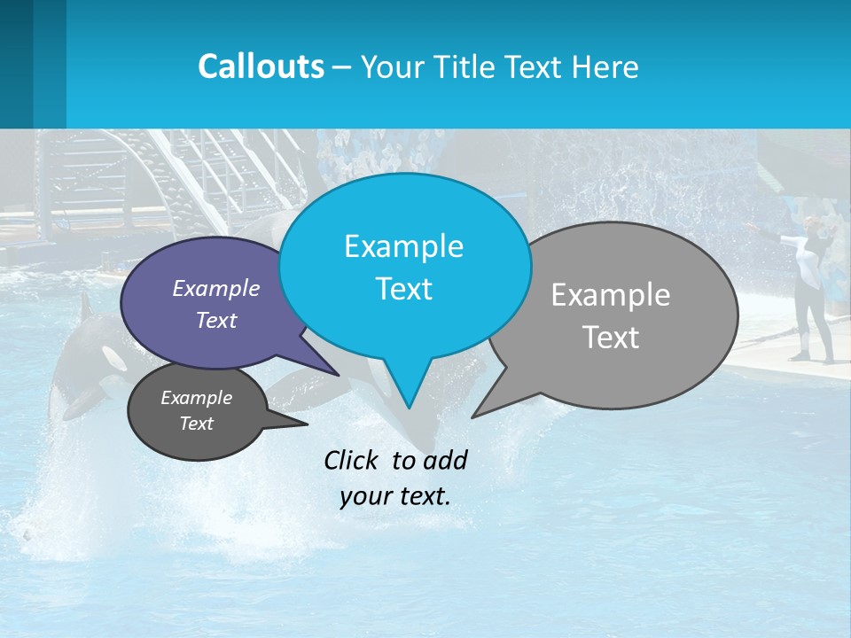 Orca Dolphin Animal PowerPoint Template