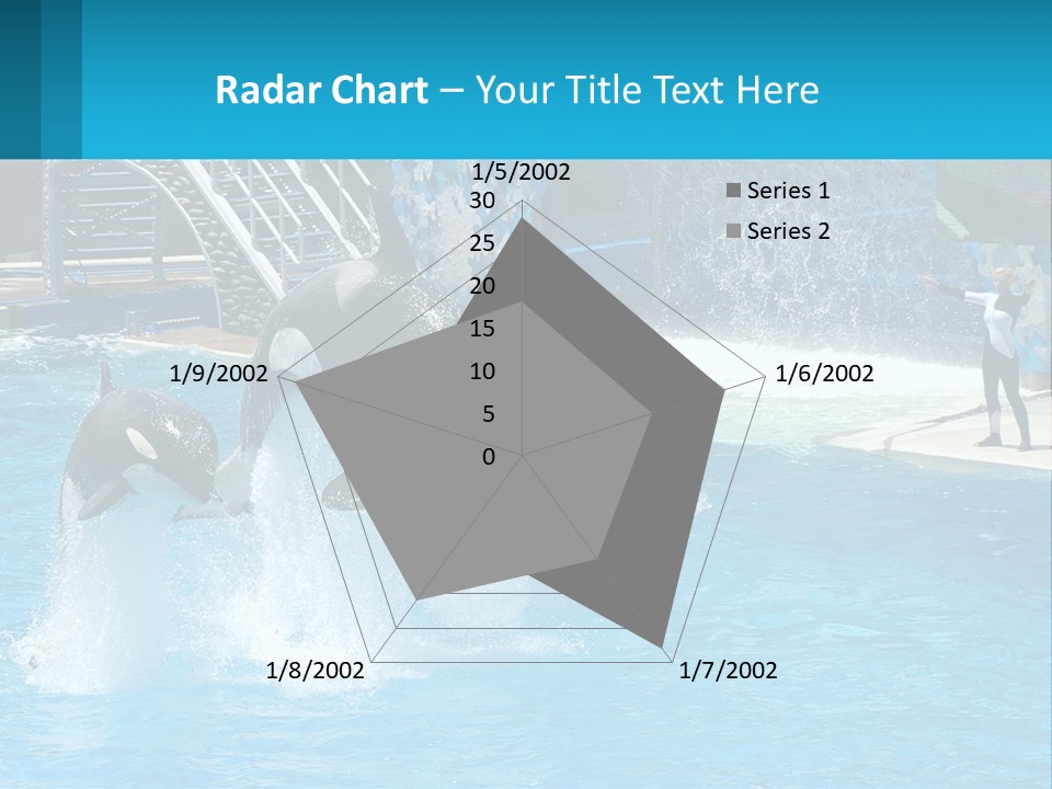 Orca Dolphin Animal PowerPoint Template