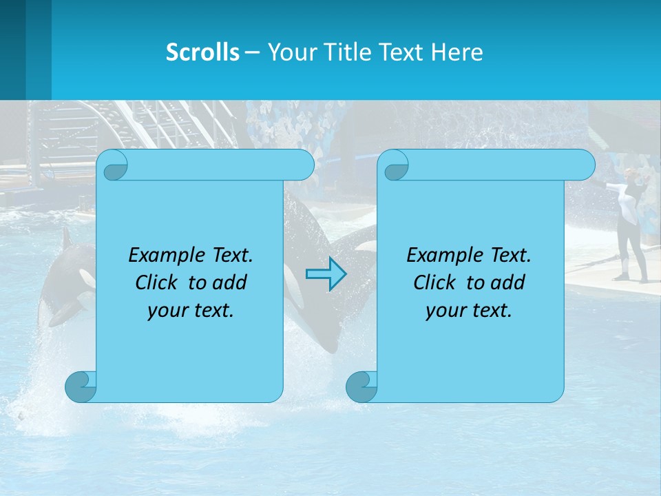 Orca Dolphin Animal PowerPoint Template