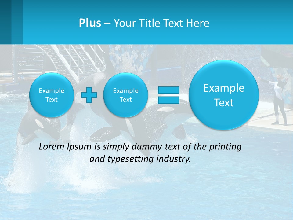 Orca Dolphin Animal PowerPoint Template