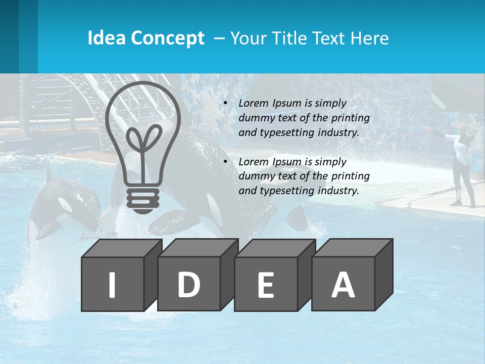 Orca Dolphin Animal PowerPoint Template