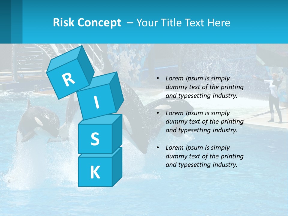 Orca Dolphin Animal PowerPoint Template