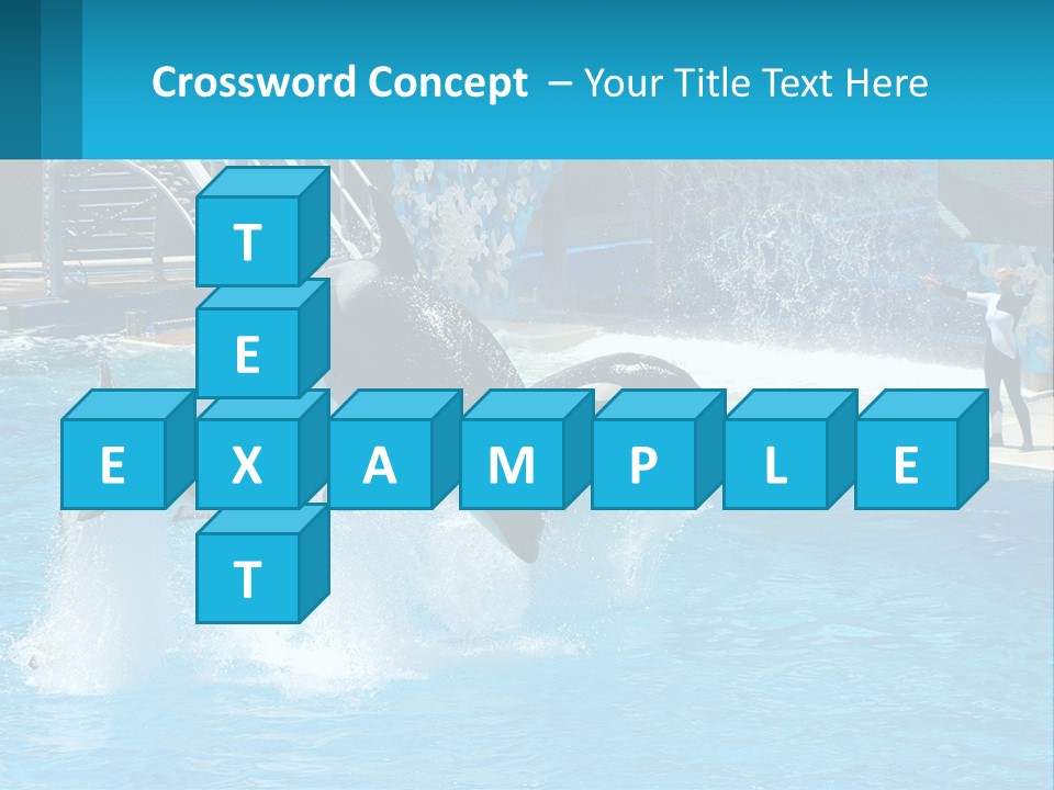 Orca Dolphin Animal PowerPoint Template