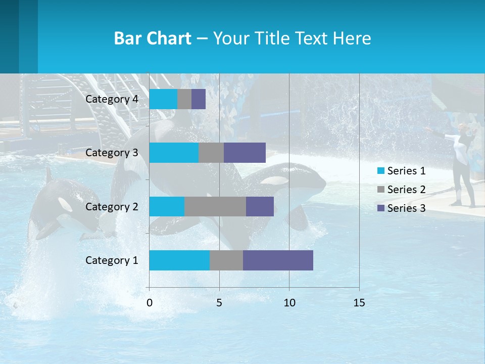Orca Dolphin Animal PowerPoint Template
