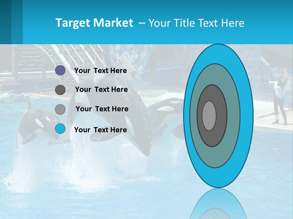 Orca Dolphin Animal PowerPoint Template