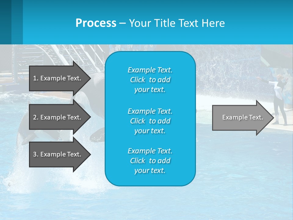 Orca Dolphin Animal PowerPoint Template