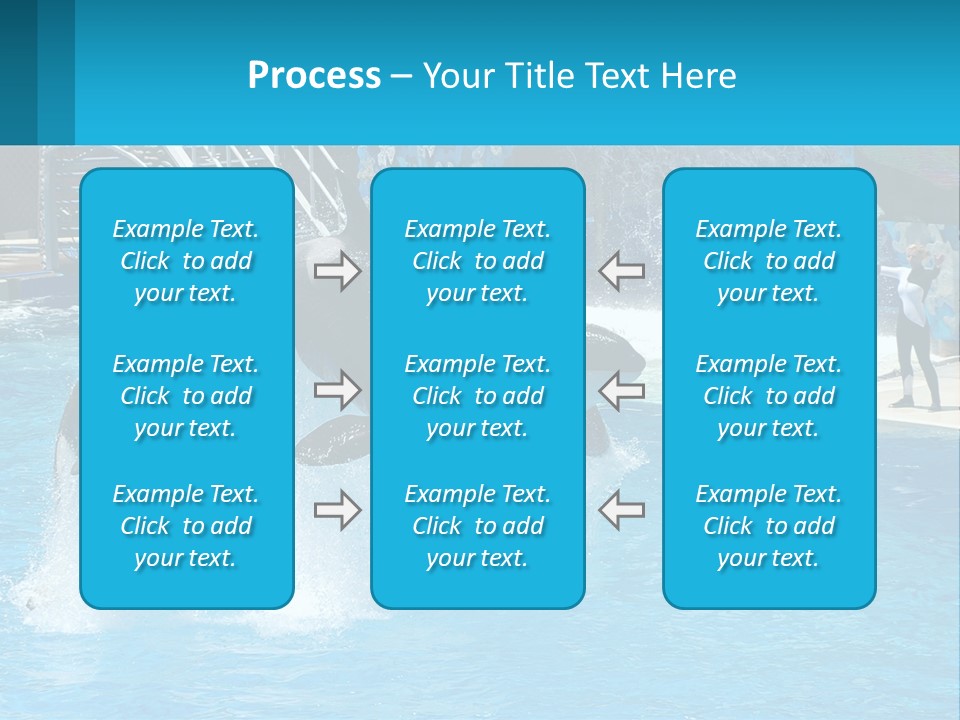 Orca Dolphin Animal PowerPoint Template