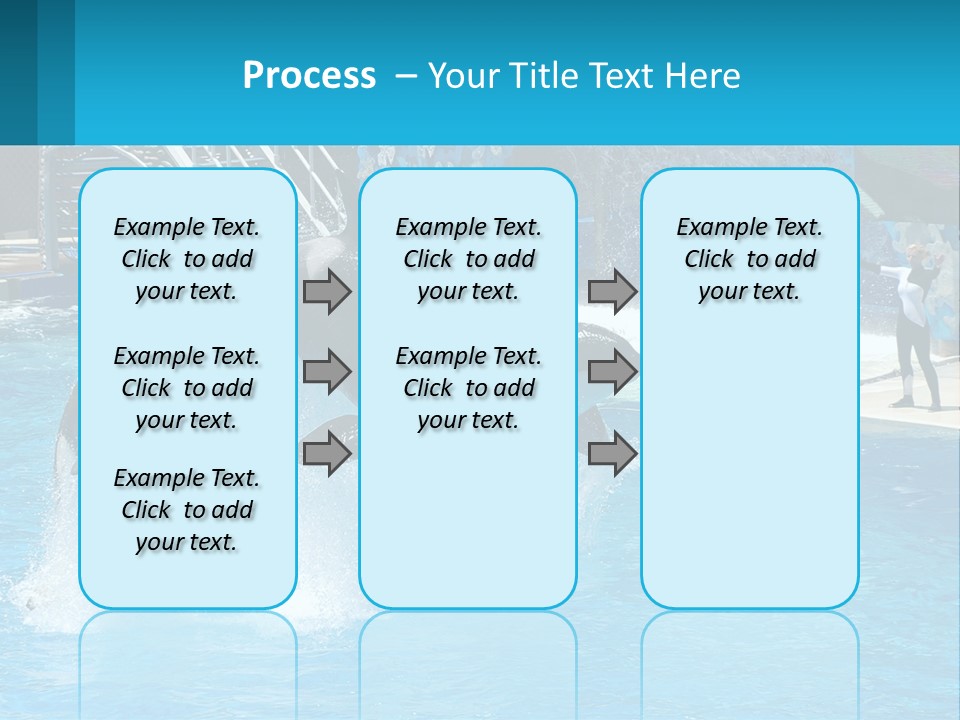 Orca Dolphin Animal PowerPoint Template