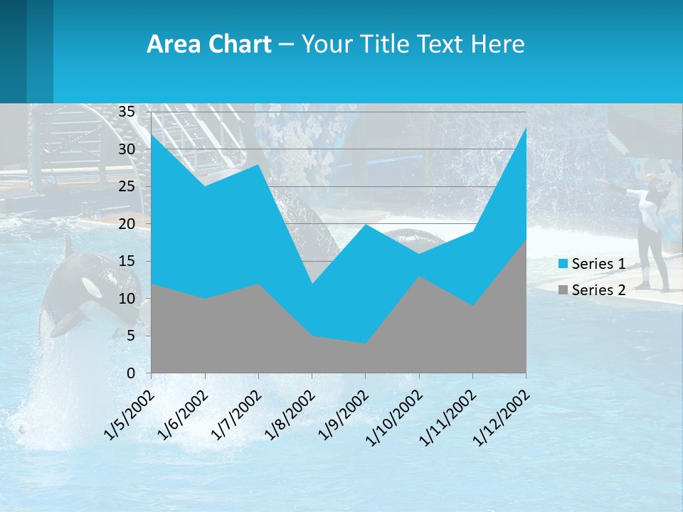 Orca Dolphin Animal PowerPoint Template