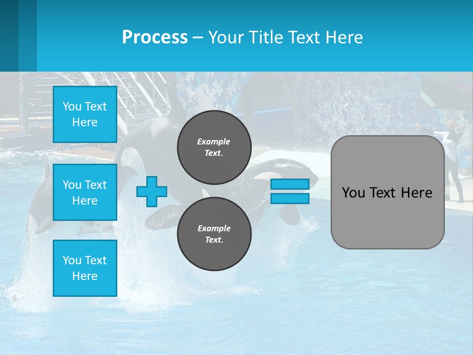Orca Dolphin Animal PowerPoint Template