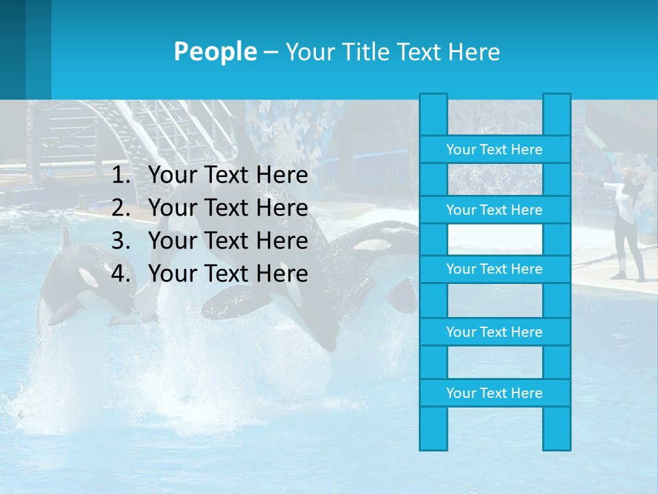 Orca Dolphin Animal PowerPoint Template