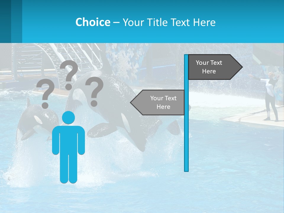 Orca Dolphin Animal PowerPoint Template