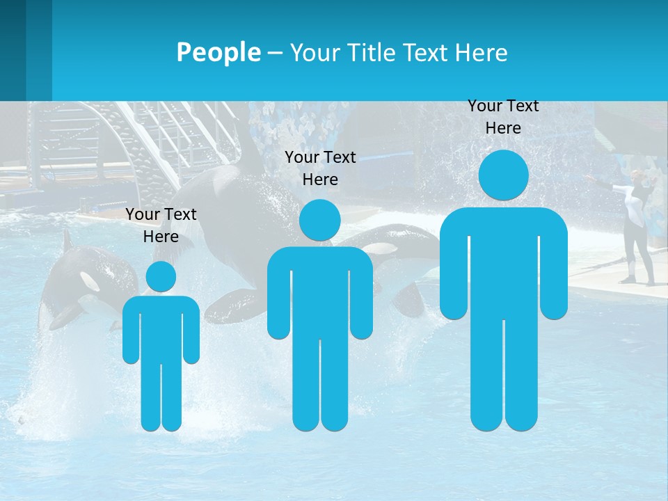 Orca Dolphin Animal PowerPoint Template