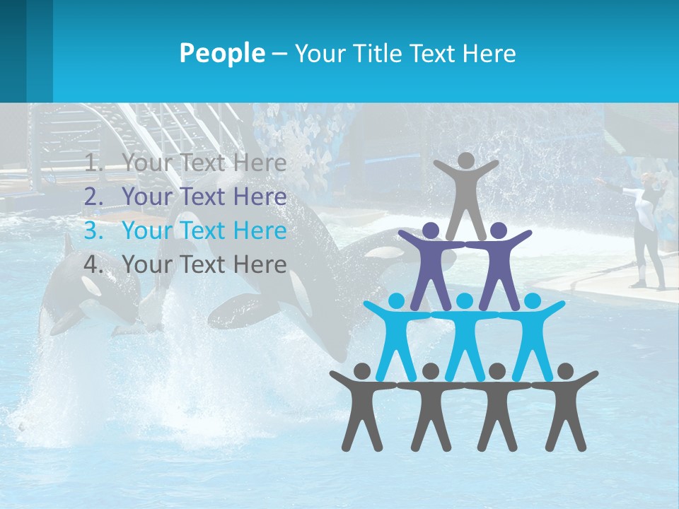 Orca Dolphin Animal PowerPoint Template