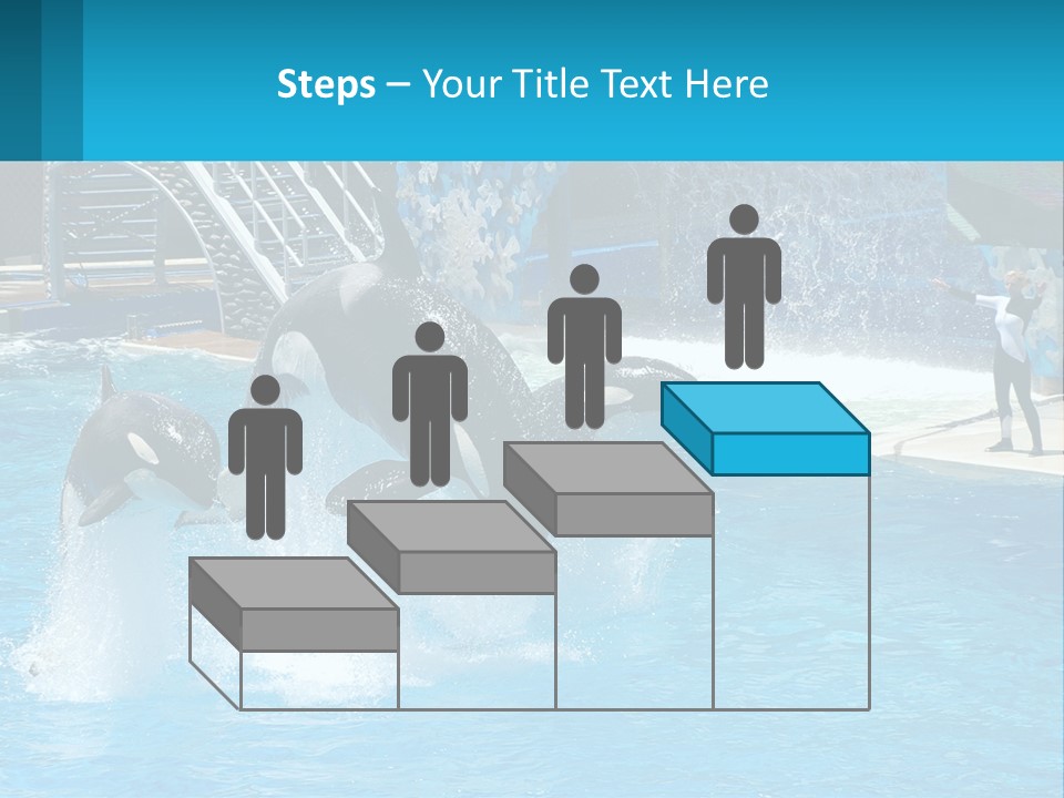 Orca Dolphin Animal PowerPoint Template