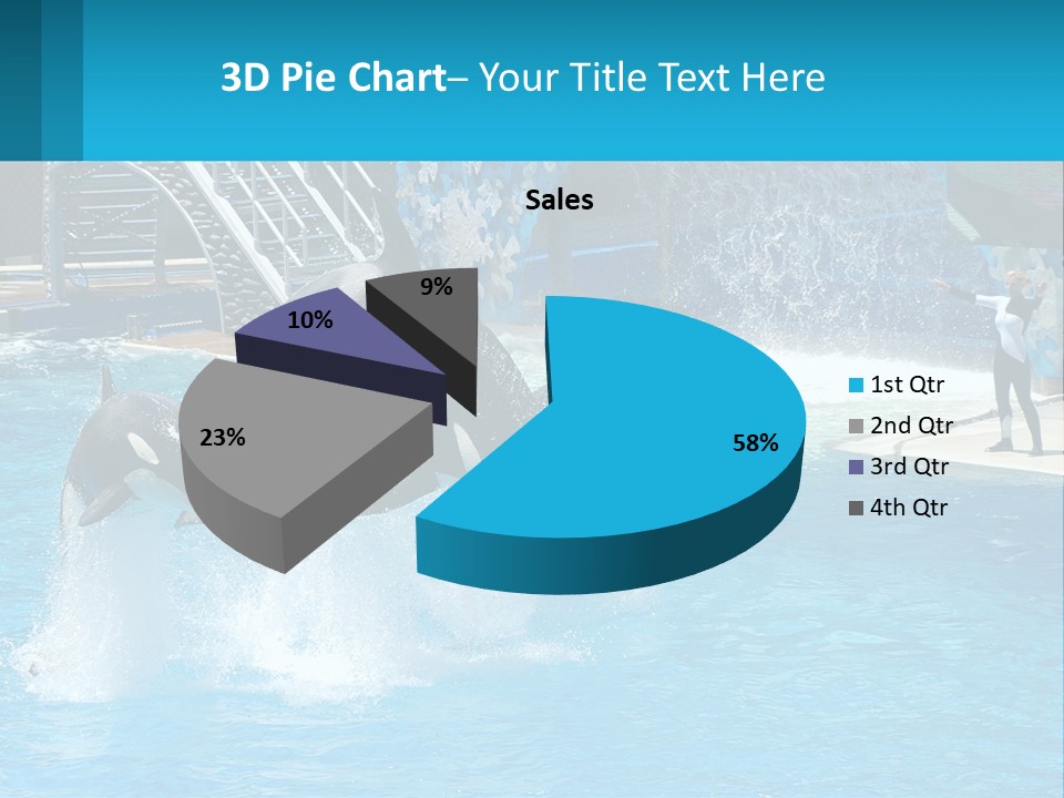 Orca Dolphin Animal PowerPoint Template