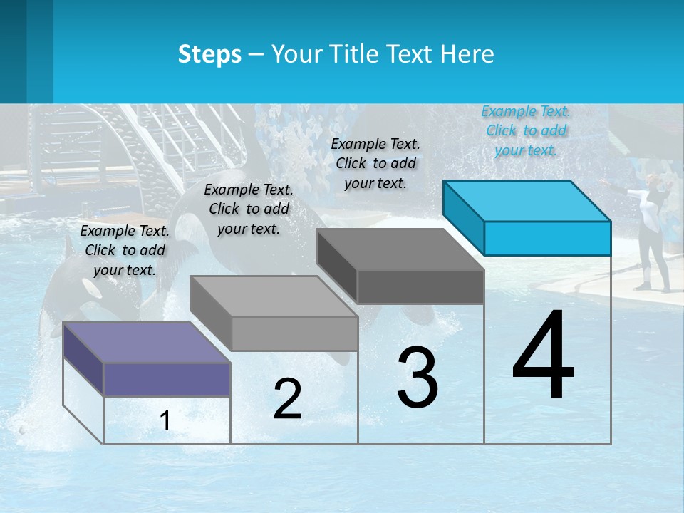 Orca Dolphin Animal PowerPoint Template