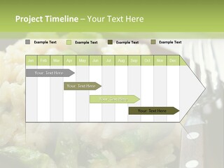 Vegetable Arborio Lunch PowerPoint Template