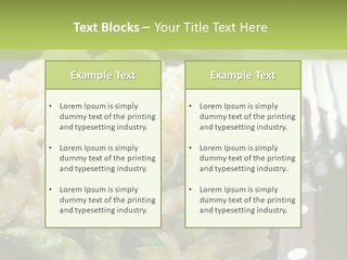 Vegetable Arborio Lunch PowerPoint Template