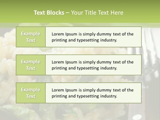 Vegetable Arborio Lunch PowerPoint Template