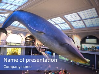 Old Whale Ape PowerPoint Template