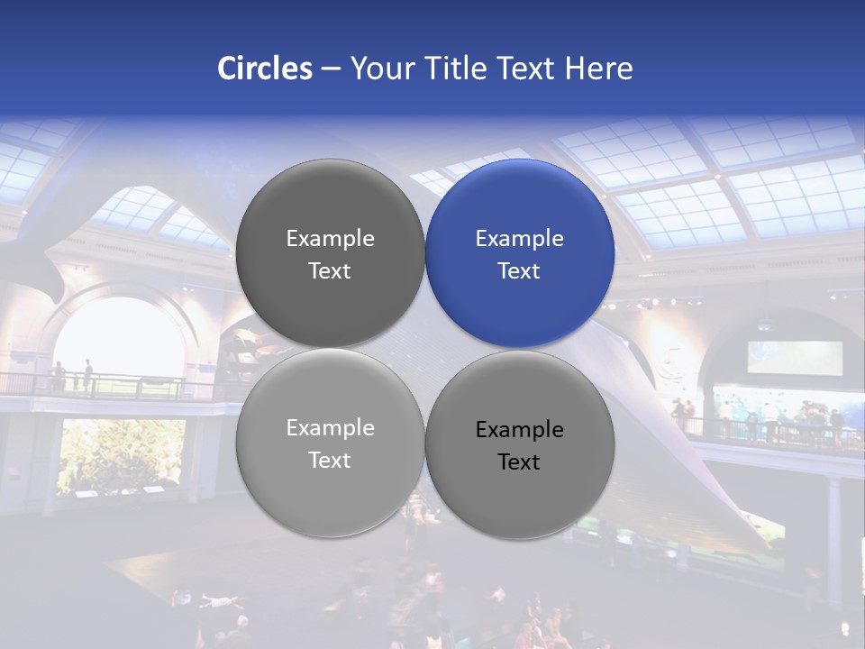 Old Whale Ape PowerPoint Template