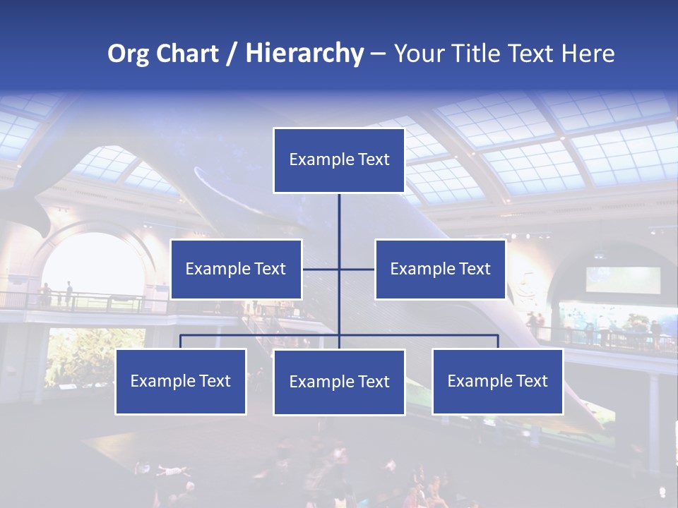 Old Whale Ape PowerPoint Template