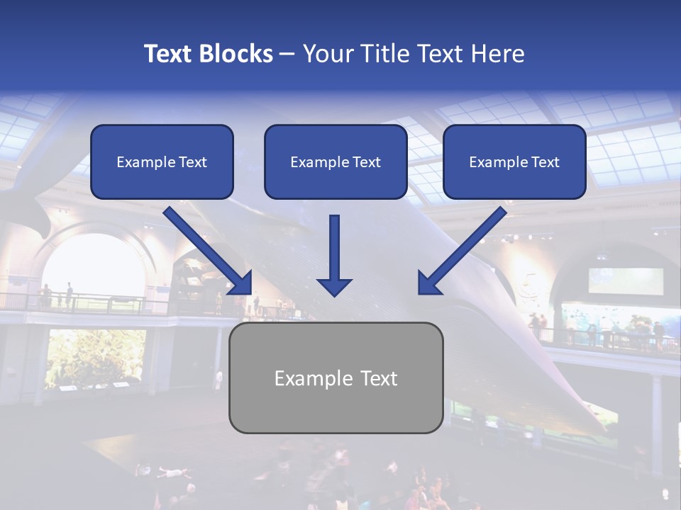 Old Whale Ape PowerPoint Template